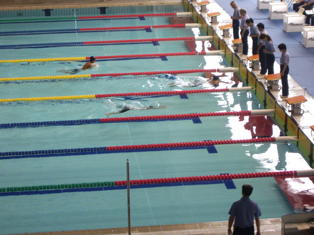 swimming_005.jpg