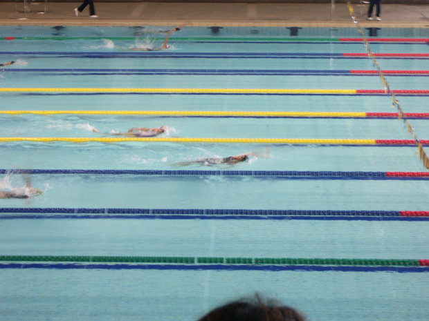 swimming_006.jpg
