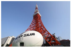 nz-r-01.jpg