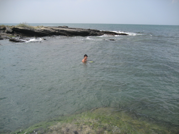 bio-iso4.JPGのサムネール画像