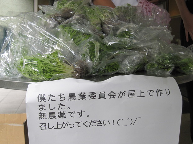 ag1IMG_0590.jpgのサムネール画像のサムネール画像