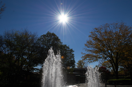 噴水と太陽.jpg