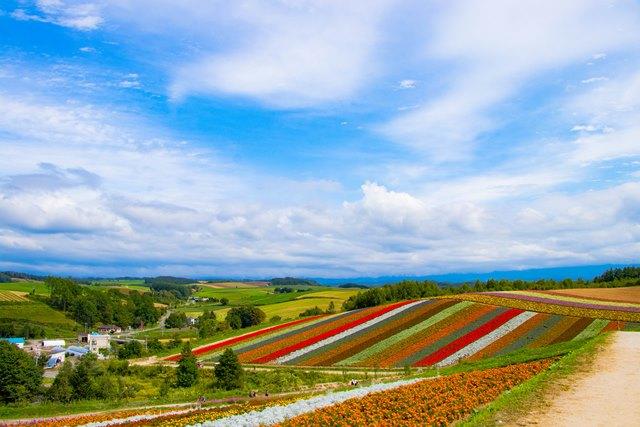 1位88票 樋貝駿典 旭川の大パノラマ.jpg