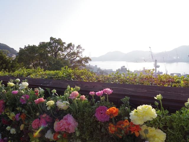 グラバー園花と港.JPG