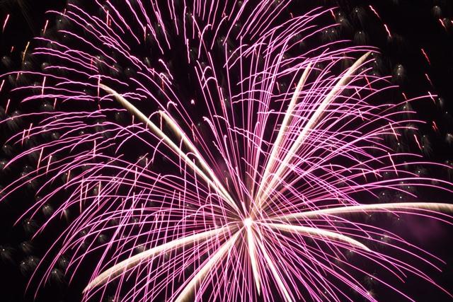 8位44票 安原瑞紀 咲いて散る 同率齋藤千尋 親子.jpg