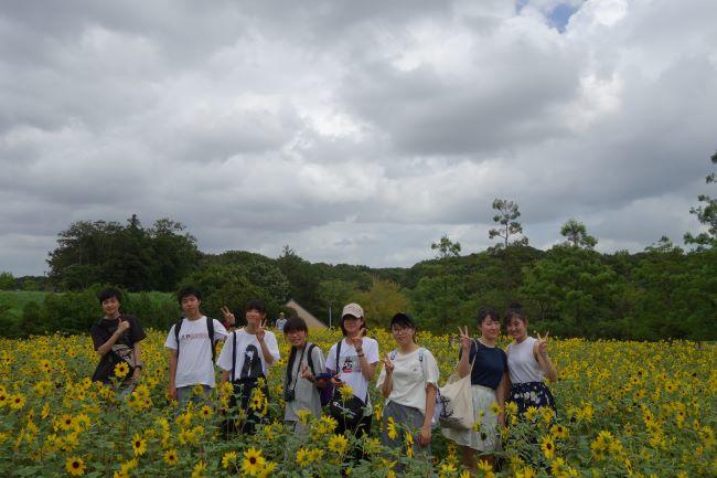 全体４ひまわり集合.JPG