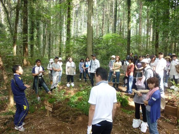 forest-k.JPGのサムネール画像